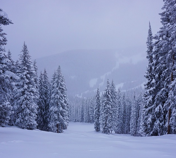 vail ski resort