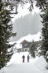 snow verbier