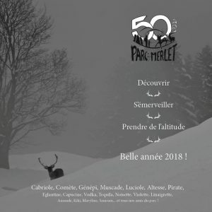 park de merlet ibex in snow